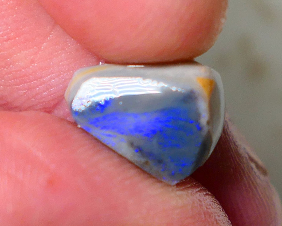 Lightning Ridge Rough Rub Directional Picture stone Opal 4.50cts Dark Base Seam Blue Fires exposed to face 13x10x5mm NS191