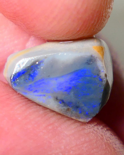 Lightning Ridge Rough Rub Directional Picture stone Opal 4.50cts Dark Base Seam Blue Fires exposed to face 13x10x5mm NS191