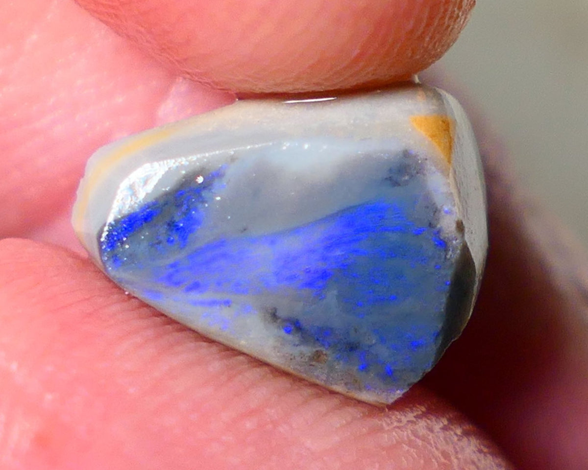 Lightning Ridge Rough Rub Directional Picture stone Opal 4.50cts Dark Base Seam Blue Fires exposed to face 13x10x5mm NS191