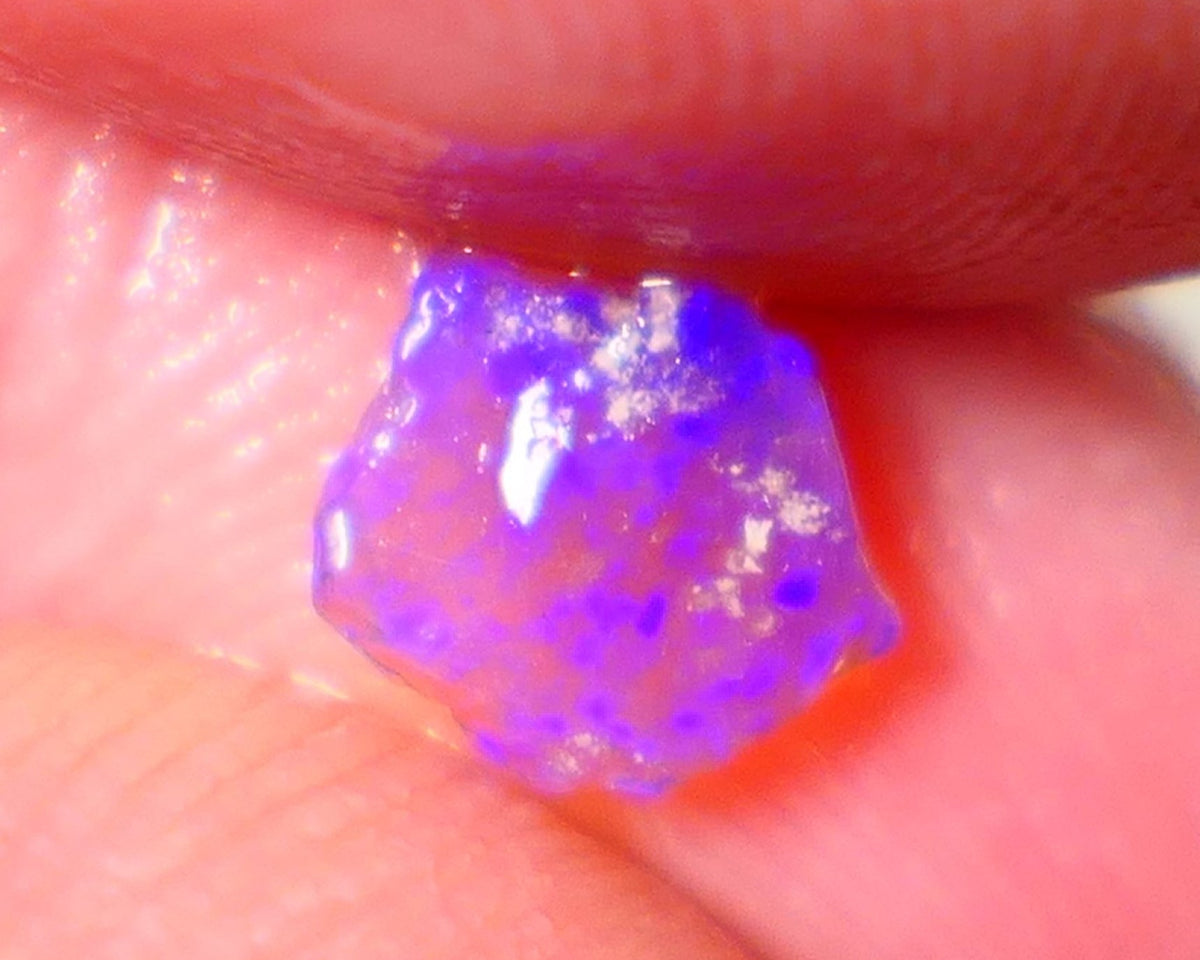 Lightning Ridge Opal Dark Crystal Base Seam Rough Rub 0.55cts Clean Gem Bright Blue fires 7x6x1.5mm NS186