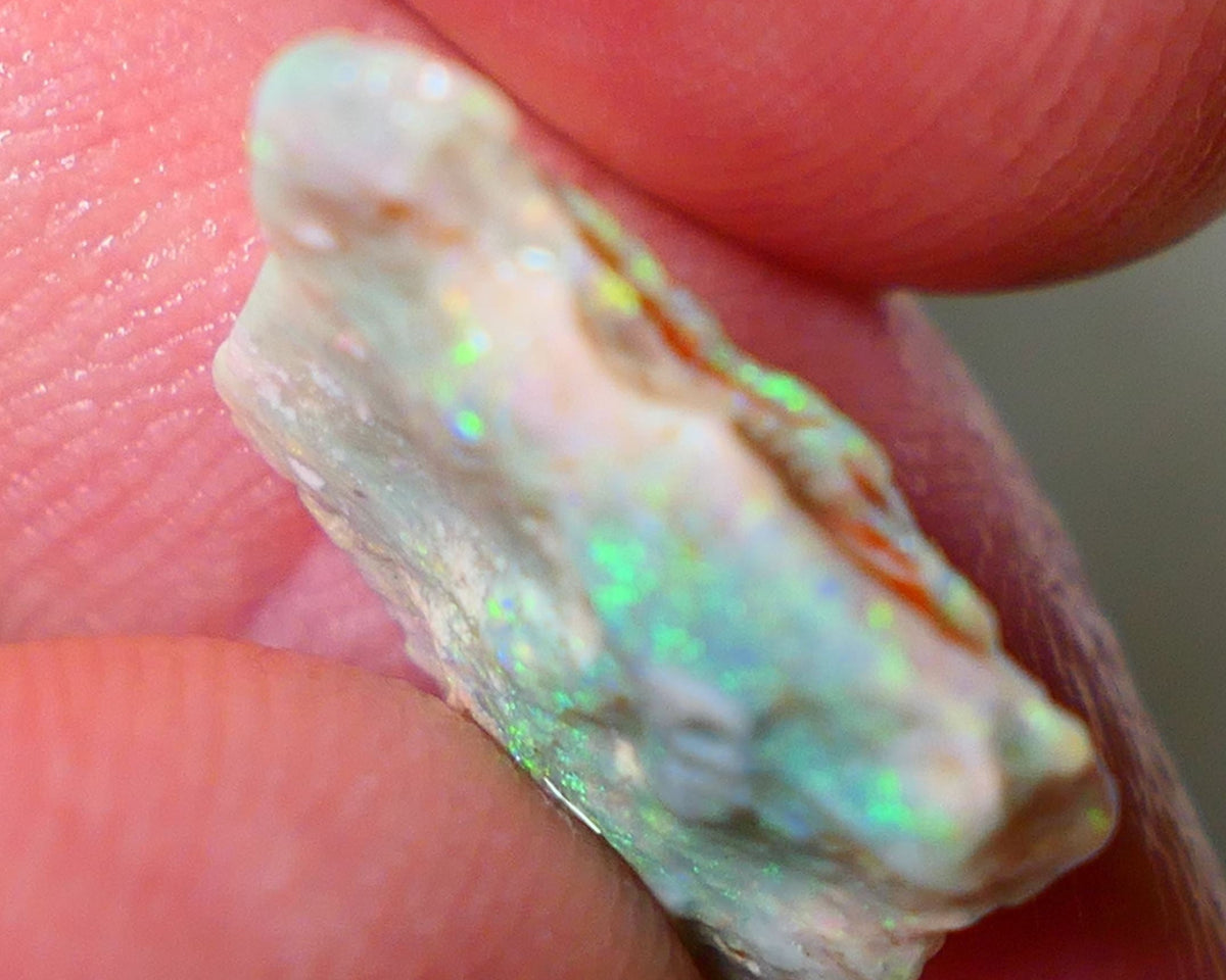 Mulga Rough Opal 5.00cts Dark Base Seam Nice Yellow/Orange Dominant M.fires to Cut / carve & polish 18x14x3mm NSW031