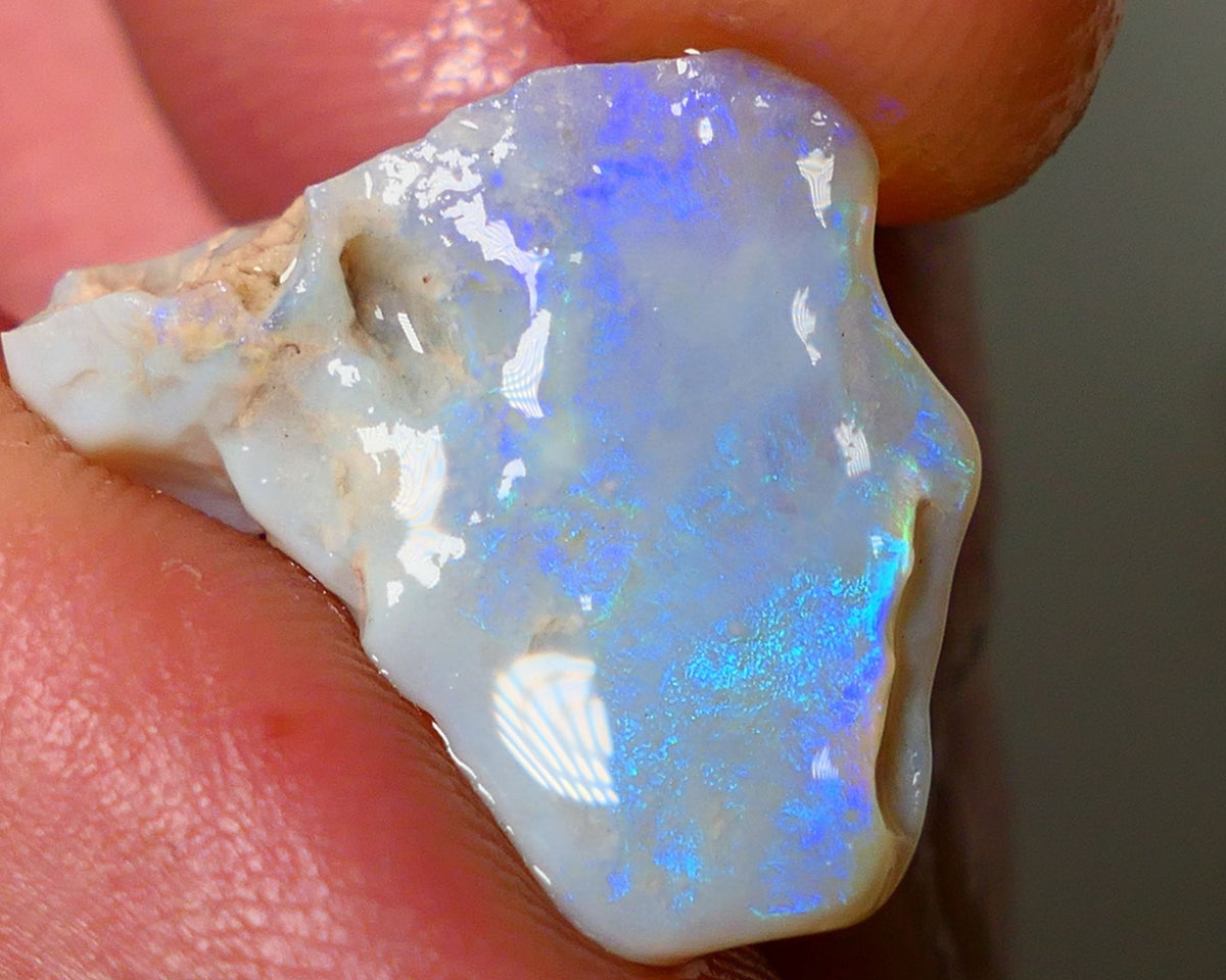 Opal Fever Mate Auction