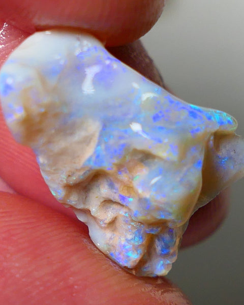 Lightning Ridge Rough Opal 11.25cts Light base Seam showing lots Nice blue colours 21x14x9mm NS180