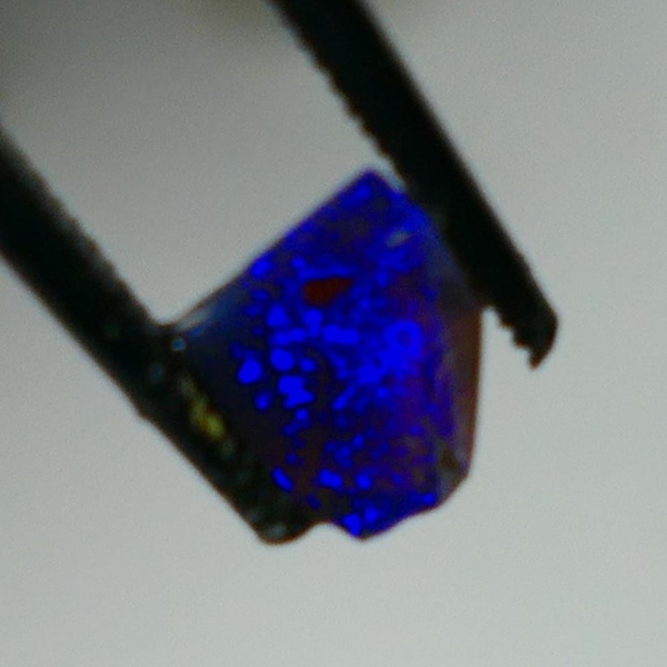 Mulga® Bright Royal Blue dominant fires on Black Opal Rough Rub Miners Bench® 0.50cts Gorgeous face 6x5x2mm NS216