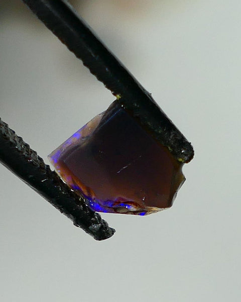 Mulga® Bright Royal Blue dominant fires on Black Opal Rough Rub Miners Bench® 0.50cts Gorgeous face 6x5x2mm NS216