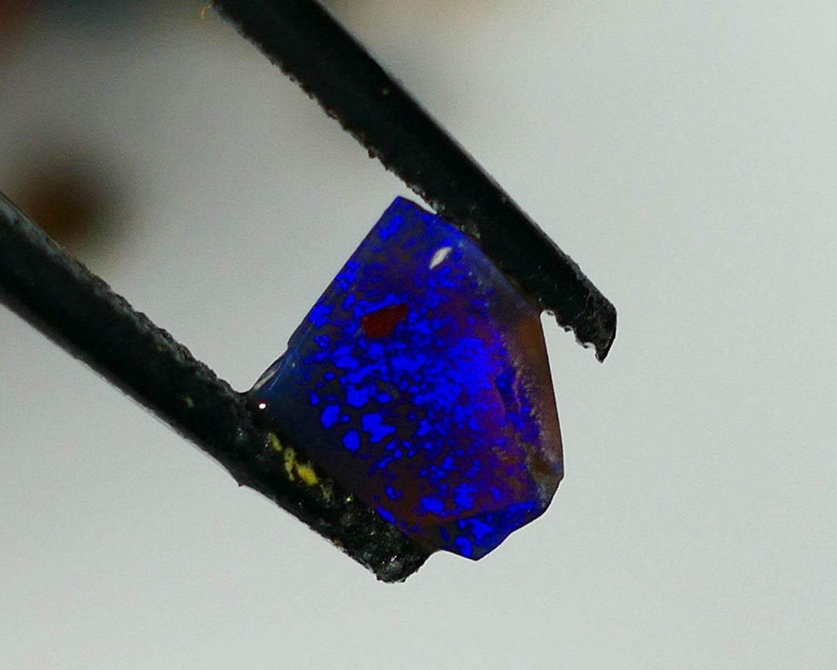 Mulga® Bright Royal Blue dominant fires on Black Opal Rough Rub Miners Bench® 0.50cts Gorgeous face 6x5x2mm NS216