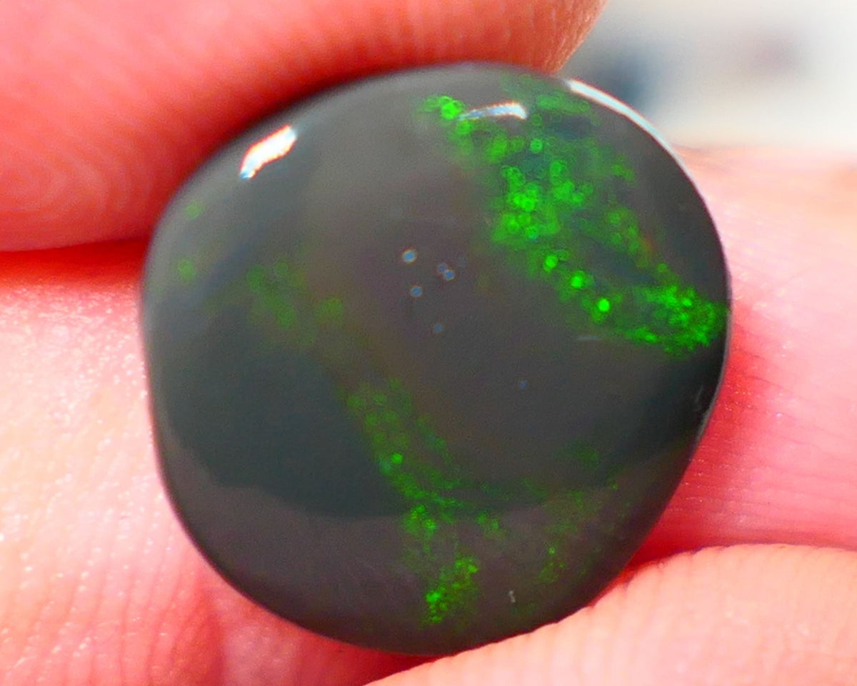 Lightning Ridge Rough / Rub Seam opal Miners Bench® 3.80cts Greens on Black 14x13x2.5mm NS203