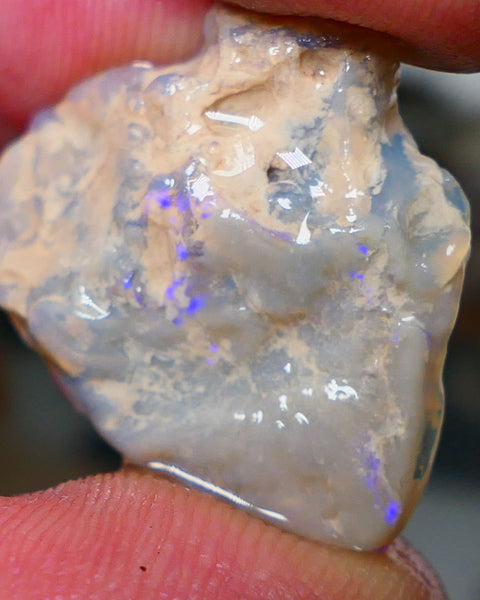 Lightning Ridge Rough Opal 13.00cts Seam Grey base Nice Blue fires in the bar 24x21x5mm NS214