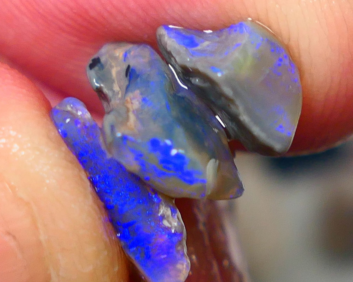 Lightning Ridge Rough Opal 6.25cts Small Seam Stack Dark base Gorgeous Blue fires in the bars 11x8x4mm to 8x6x4mm NS212