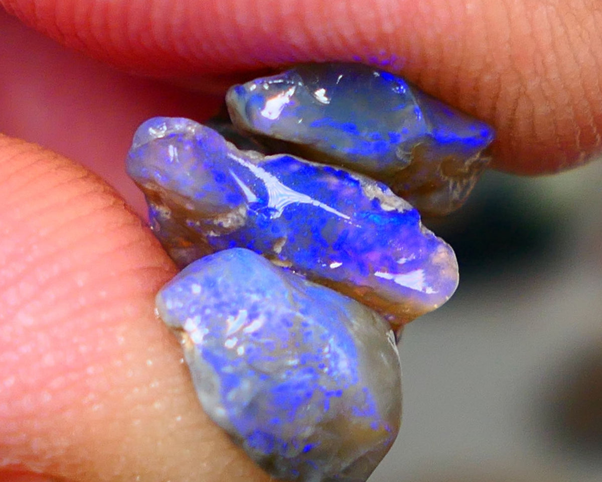 Lightning Ridge Rough Opal 6.25cts Small Seam Stack Dark base Gorgeous Blue fires in the bars 11x8x4mm to 8x6x4mm NS212