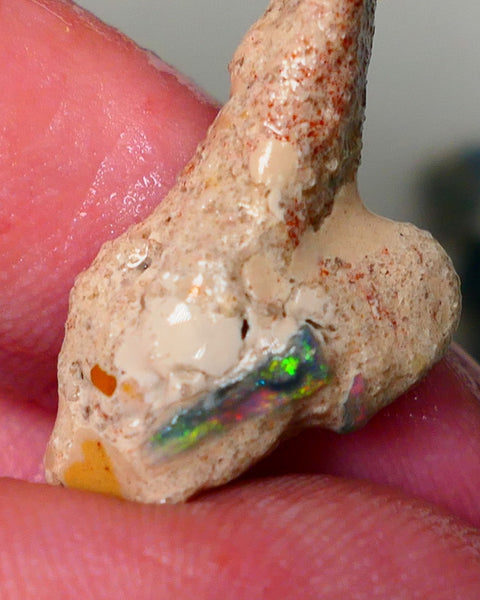 Mulga Rough Opal Seam formation 12.00cts Collectors Gorgeous Yellow dominant Multifires showing on opal deposit 28x15x7mm RL011