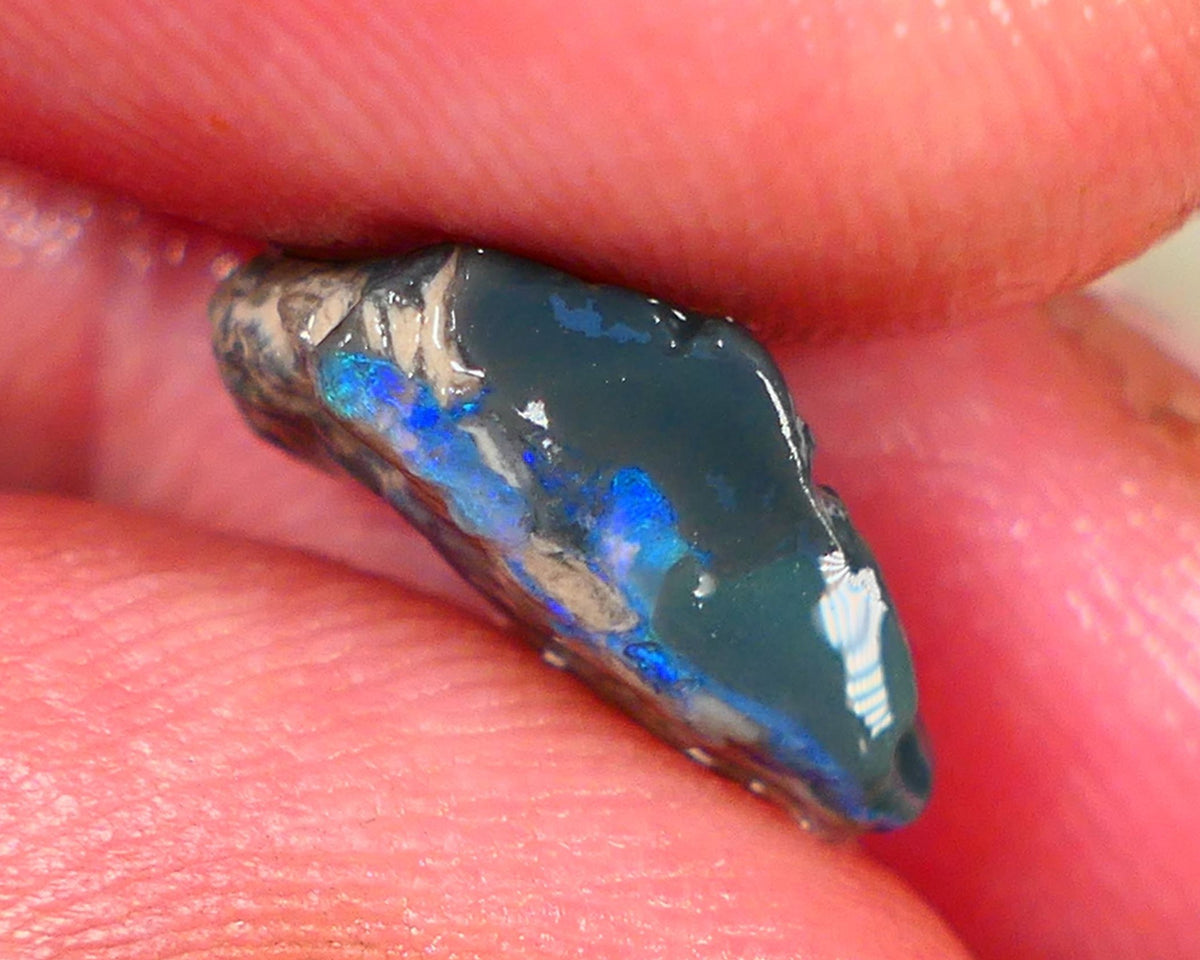 Lightning Ridge Rough Opal 3.75cts Dark Base Knobby Gorgeous Blue Bar to gamble 15x9x5mm RL007