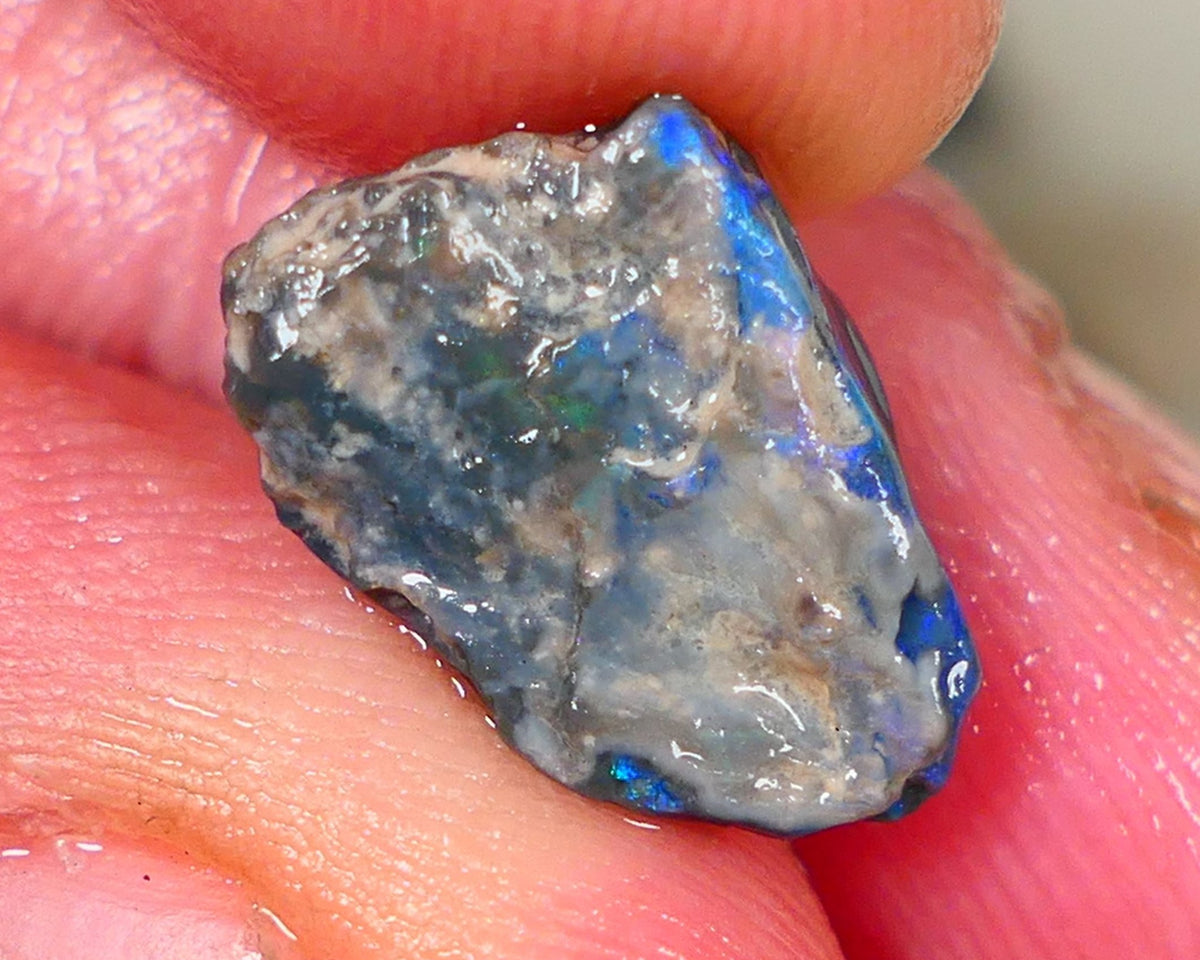 Lightning Ridge Rough Opal 3.75cts Dark Base Knobby Gorgeous Blue Bar to gamble 15x9x5mm RL007