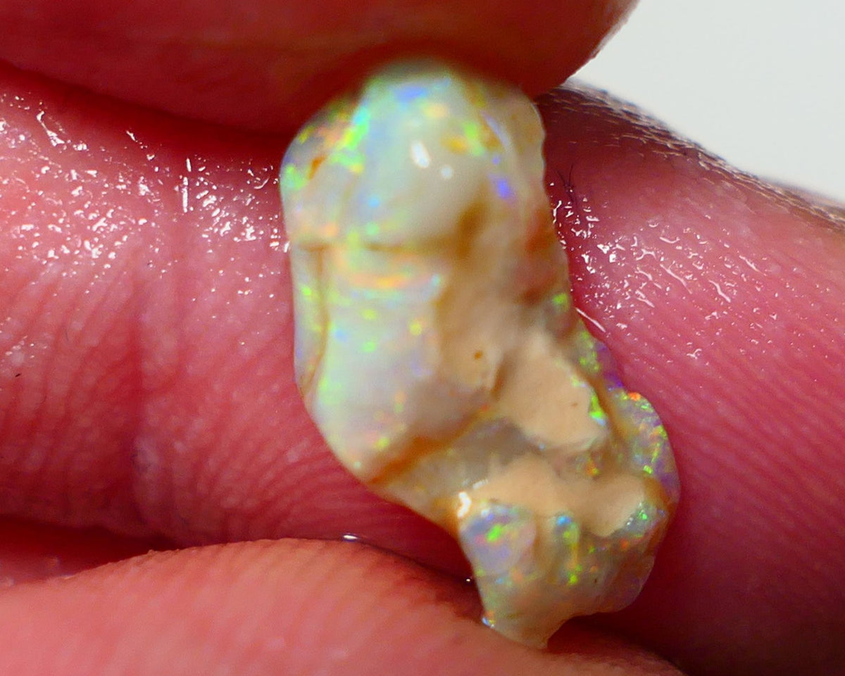 Lightning Ridge Rough Opal 2.25cts Crystal Seam showing Nice multi colours 16x7x4mm NS303