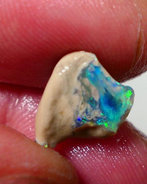 Lightning Ridge Rough / Rub knobby opal Miners Bench® 4.25cts Stunning Bright Fires to exposed face 13x11x7mm NS301