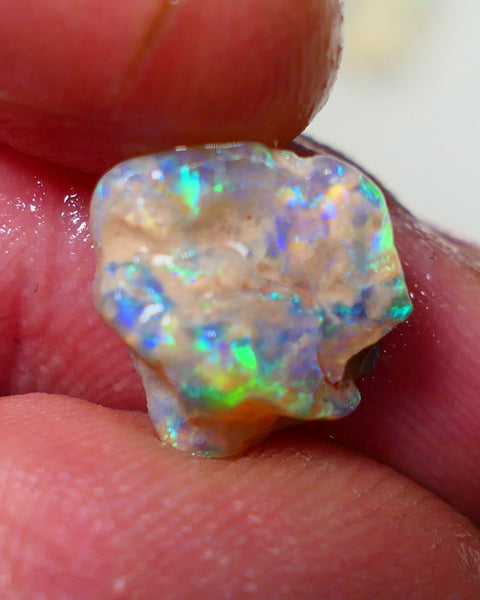 Lightning Ridge Rough Opal 3.70cts Dark Crystal Base Gamble Knobby formation Gorgeous Multifires 12x10x3mm NS300