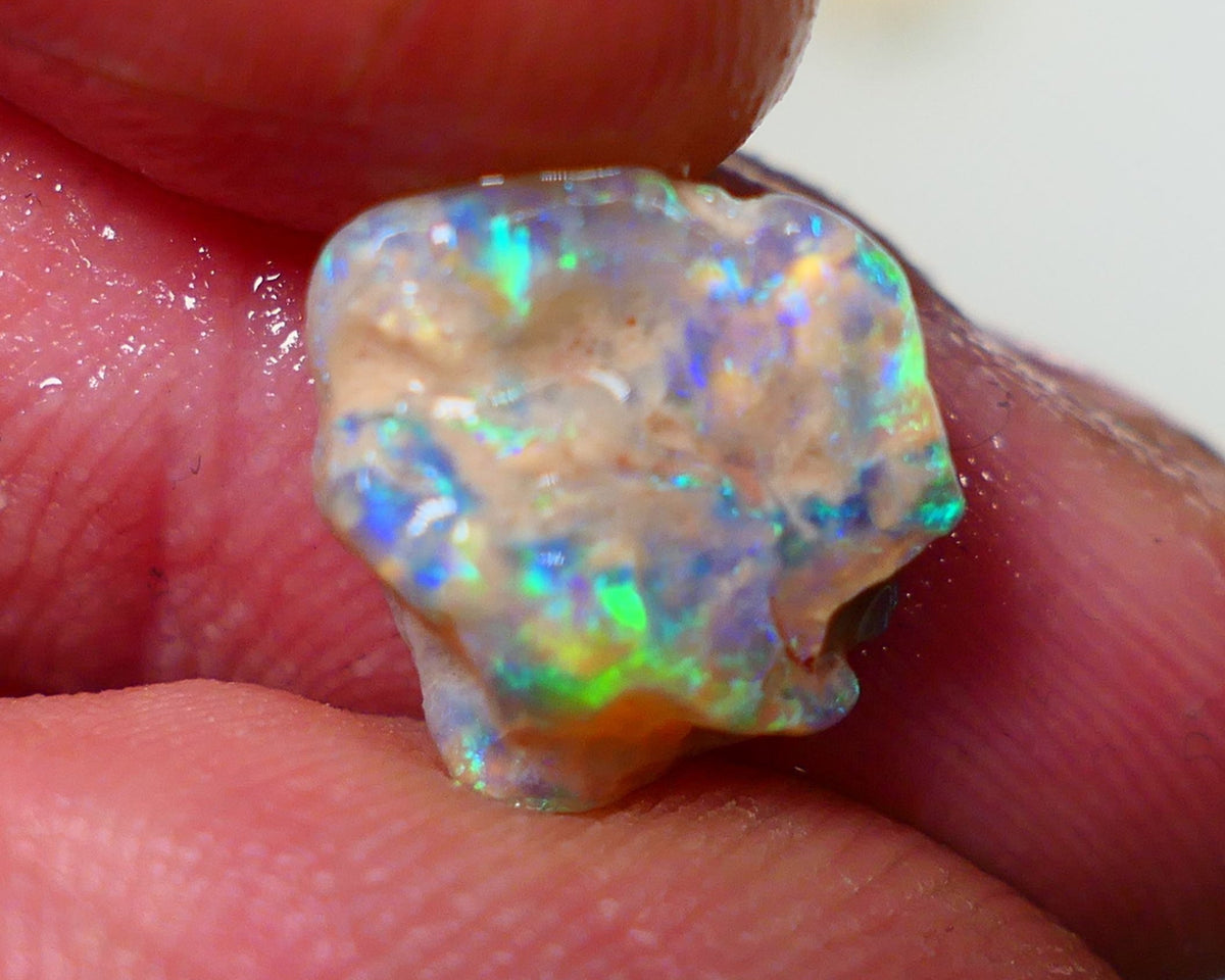 Lightning Ridge Rough Opal 3.70cts Dark Crystal Base Gamble Knobby formation Gorgeous Multifires 12x10x3mm NS300