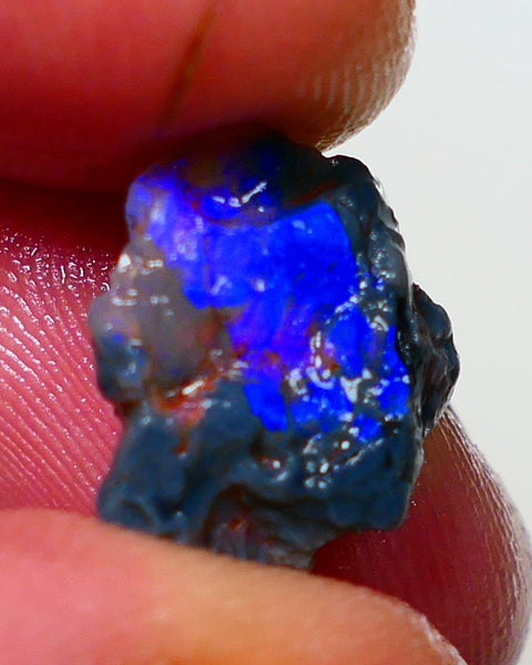 Lightning Ridge Rough Opal 3.50cts Black Crystal Base Knobby formation Gorgeous Royal Blues 14x9x6mm NS308