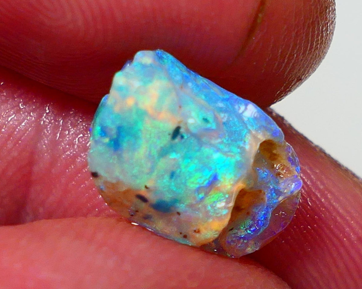 Lightning Ridge Rough Opal 4.25cts Crystal Base Opalised Fossil Gorgeous Bright Multifires 14x9x7mm NS310