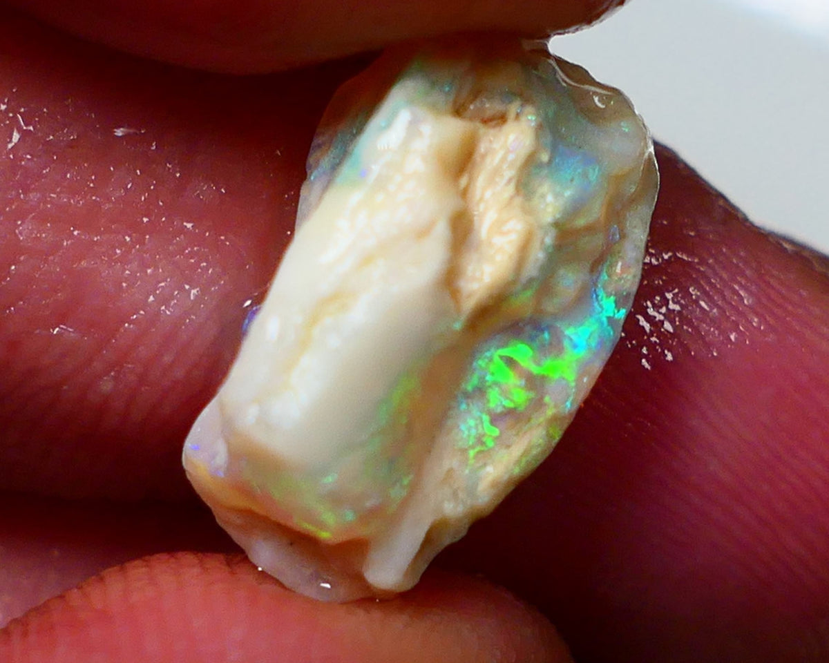 Lightning Ridge Rough Opal 7.15cts Light Base Seam showing  Bright multi colours 17x9x8mm NS311