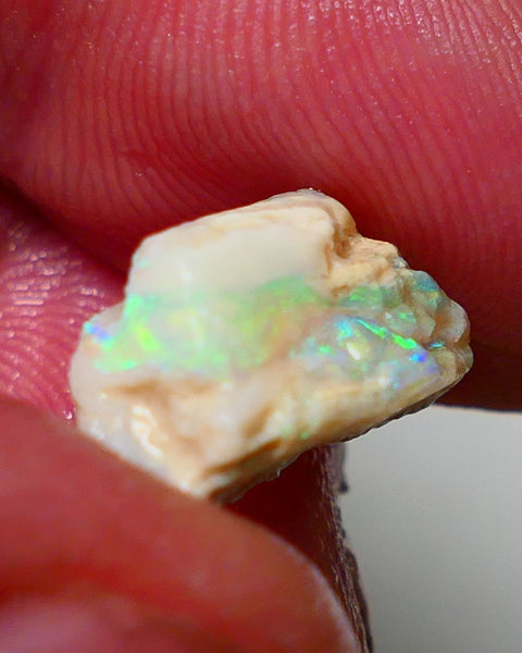 Lightning Ridge Rough Opal 7.15cts Light Base Seam showing  Bright multi colours 17x9x8mm NS311