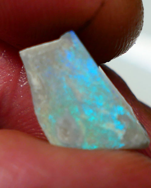 Lightning Ridge Rough / Rub Dark opal Miners Bench® 2.75cts Gorgeous Bright Light Blues & Greens 14x8x3mm NS328