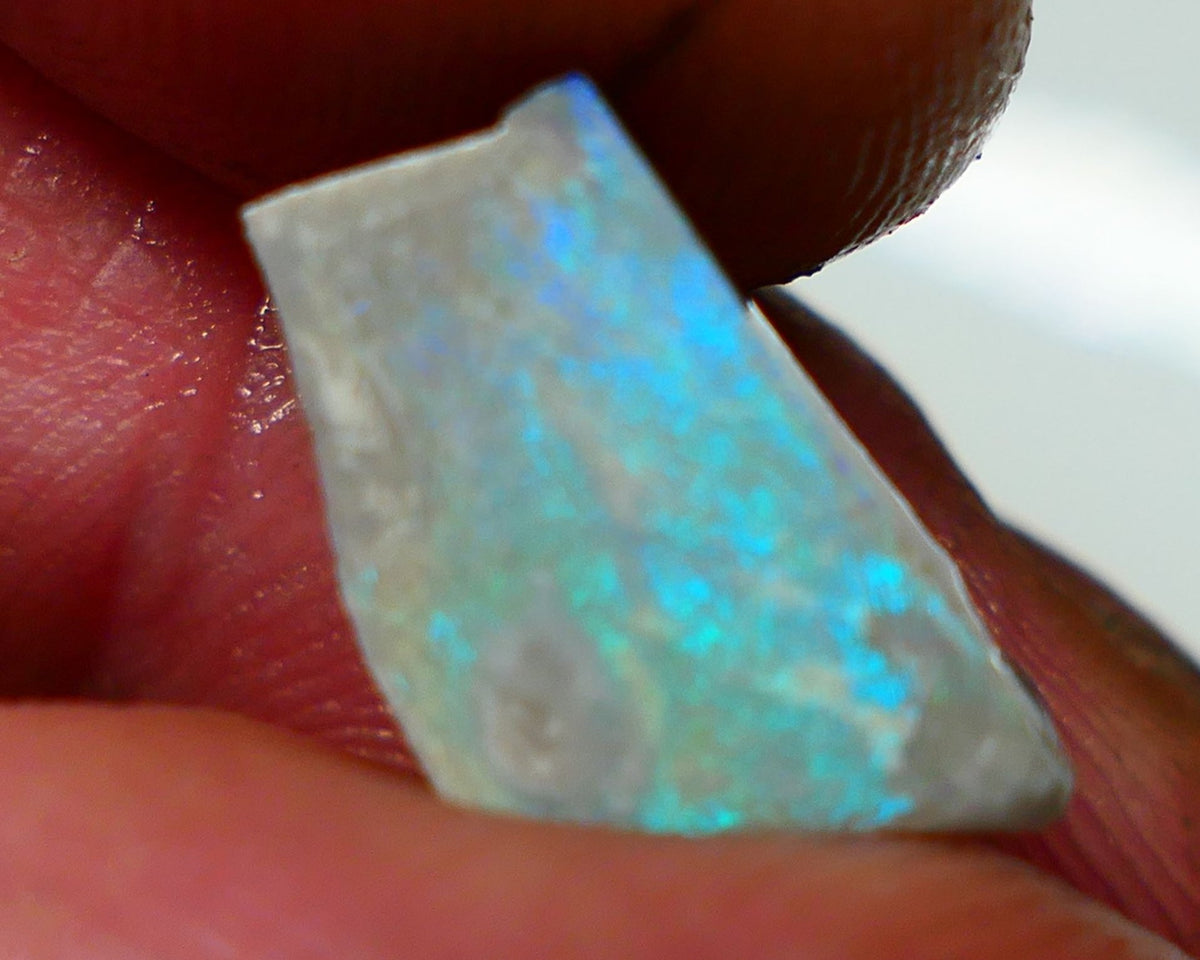 Lightning Ridge Rough / Rub Dark opal Miners Bench® 2.75cts Gorgeous Bright Light Blues & Greens 14x8x3mm NS328