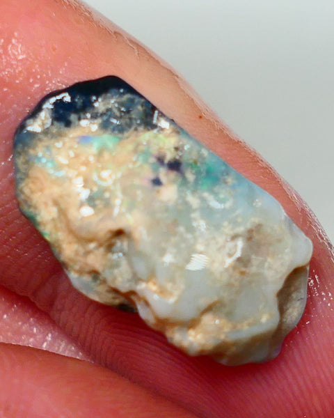 Lightning Ridge Rough Opal 5.75cts Dark Base Seam Bits Blue to gamble 21x11x4mm NS326