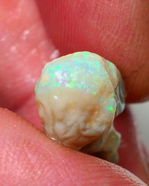 Lightning Ridge Rough Opal 7.30cts Crystal Knobby showing Gorgeous Multicolours 20x11x7mm NS324