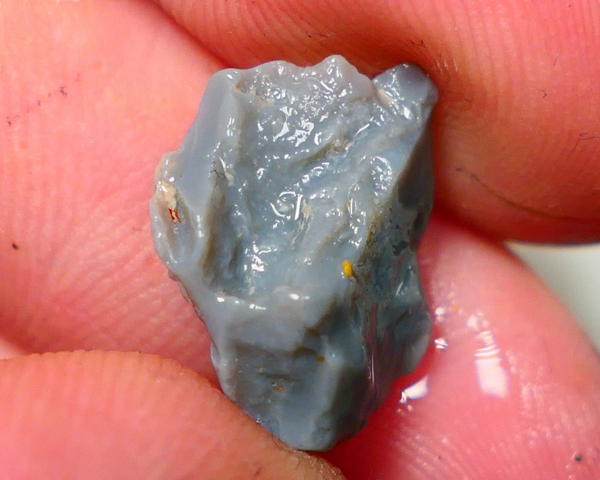 Lightning Ridge Rough Opal 5.25cts Dark Base Knobby Bright Blue Bar to gamble 16x13x7mm NS323