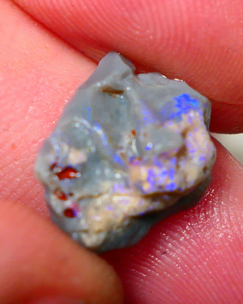 Lightning Ridge Rough Opal 5.25cts Dark Base Knobby Bright Blue Bar to gamble 16x13x7mm NS323