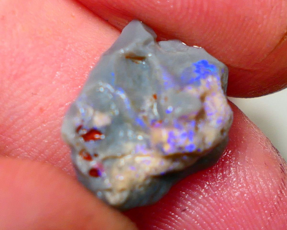 Lightning Ridge Rough Opal 5.25cts Dark Base Knobby Bright Blue Bar to gamble 16x13x7mm NS323