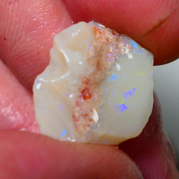 Lightning Ridge Opal Light / Grey Base Seam Rough Rub 8.70cts Bits of Multi colour Confetti pattern 17x16x6mm NS319