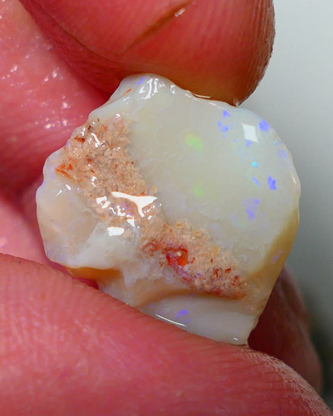 Lightning Ridge Opal Light / Grey Base Seam Rough Rub 8.70cts Bits of Multi colour Confetti pattern 17x16x6mm NS319