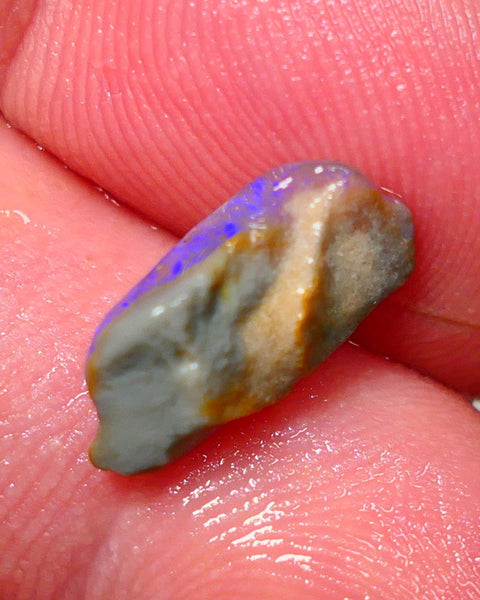 Lightning Ridge Rough Opal 2.35cts Dark Base Seam Bright Gorgeous Blue Bar to Cut 14x6x4mm NS316