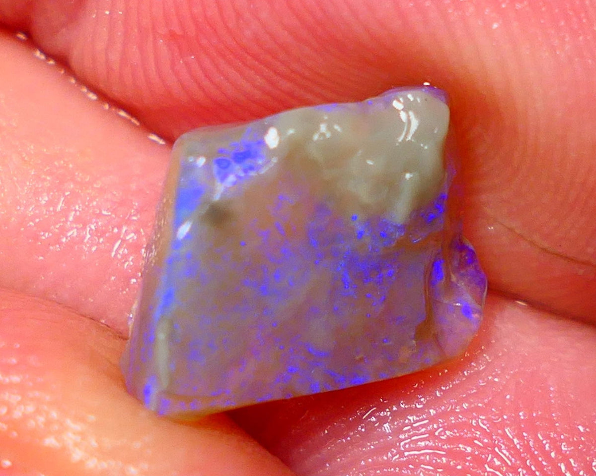 Lightning Ridge Rough Opal 3.75cts Dark Base Seam Bright Vibrant Gorgeous Teal / Blue Bar to Cut 12x9x4mm NS315