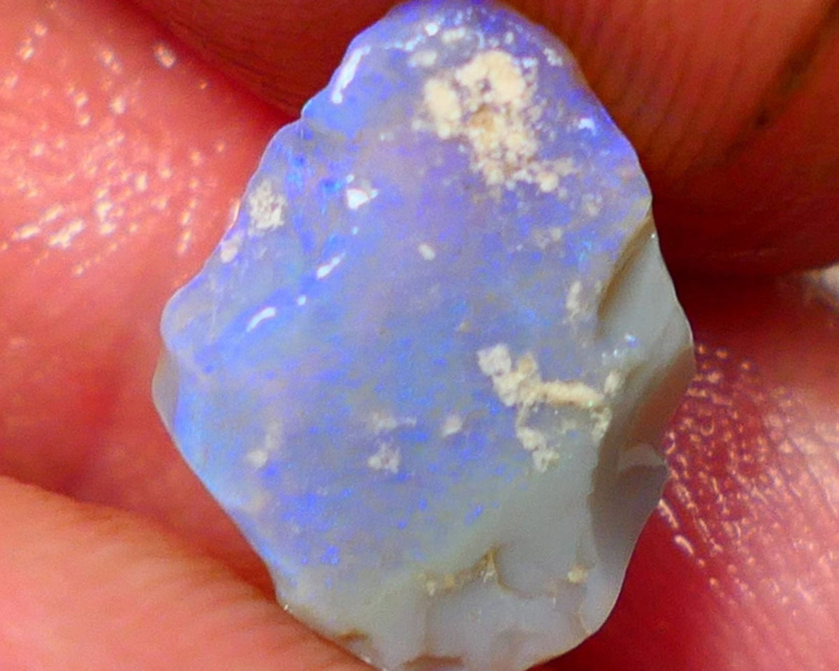 Lightning Ridge Rough Opal 2.25cts Dark Base Seam Bright  Blue Bar 12x10x3mm NS340