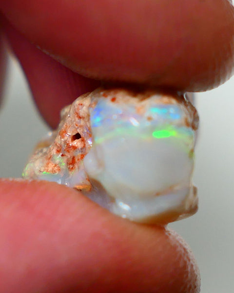 Lightning Ridge Rough Opal 10.00cts Grey base Seam showing Yellow/Green Dominant M.colours to gamble cut 20x11x10mm NS338