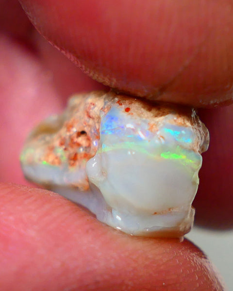 Lightning Ridge Rough Opal 10.00cts Grey base Seam showing Yellow/Green Dominant M.colours to gamble cut 20x11x10mm NS338