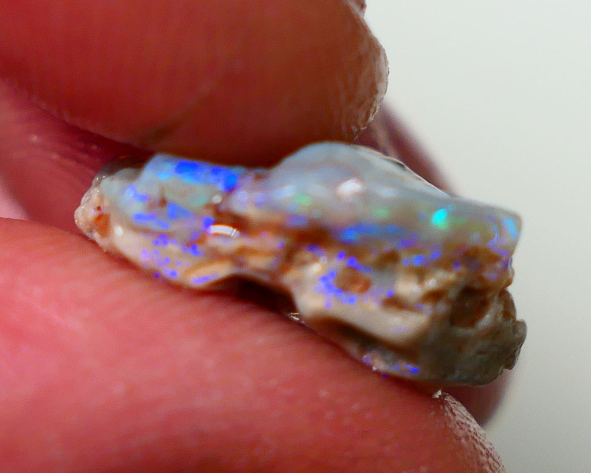 Lightning Ridge Rough Opal 6.00cts Dark Base Seam Bright Vibrant Gorgeous Blue / Green / Teal Bar 16x10x6mm NS337