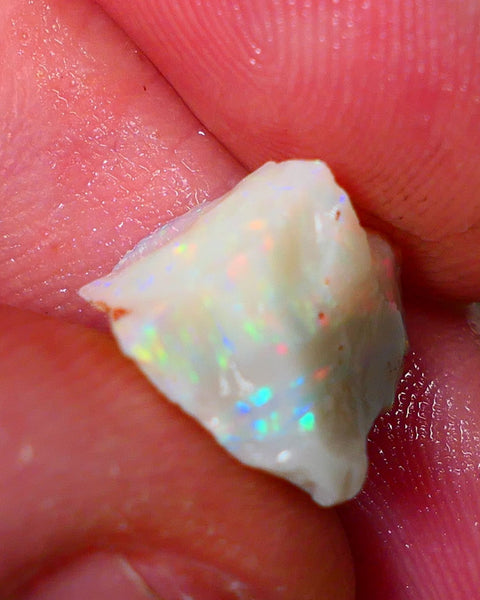 Lightning Ridge Rough Opal 5.25cts Light base Seam showing Bright Gorgeous M.colours 12x12x9mm NS333