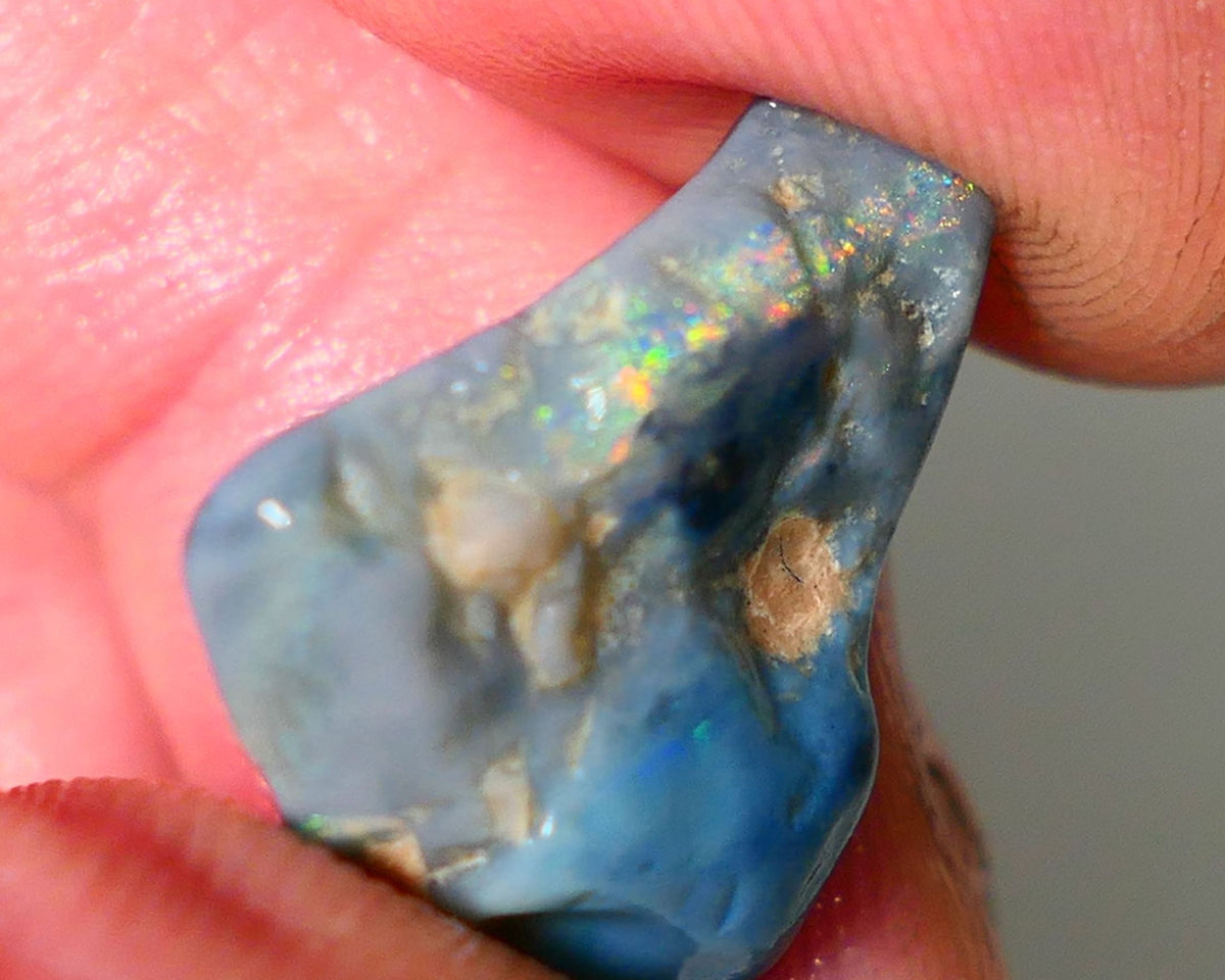 Mulga Rough Opal Gamble 12cts Dark Base Seam Blue Orange Dominant fires to gamble 20x6x9mm NS344