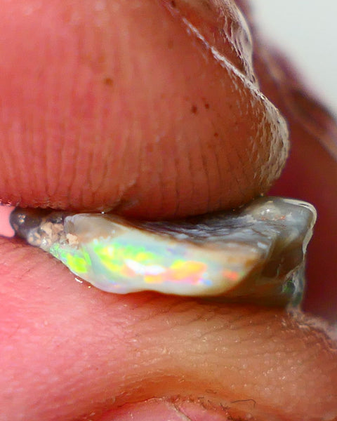 Lightning Ridge Rough Opal 5.00cts Dark Crystal Seam showing Green/Orange Dominant colours 20x11x4mm NS343