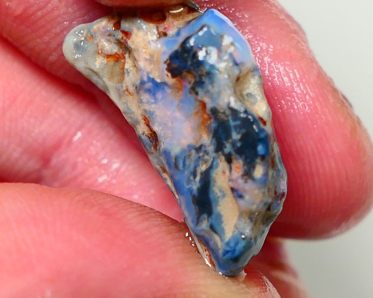 Lightning Ridge Rough Opal Gamble Auction  23x13x8mm 12cts