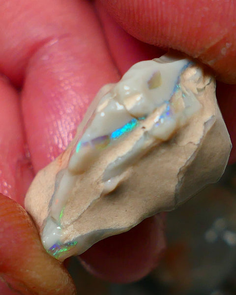 Lightning Ridge Rough Opal Gamble Auction 3   23.00cts 25x20x13mm