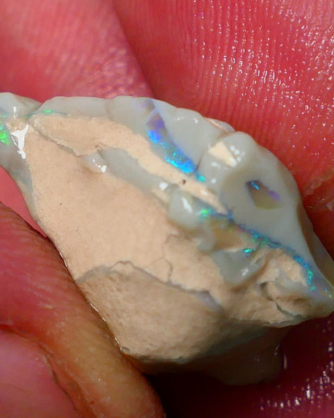 Lightning Ridge Rough Opal Gamble Auction 3   23.00cts 25x20x13mm