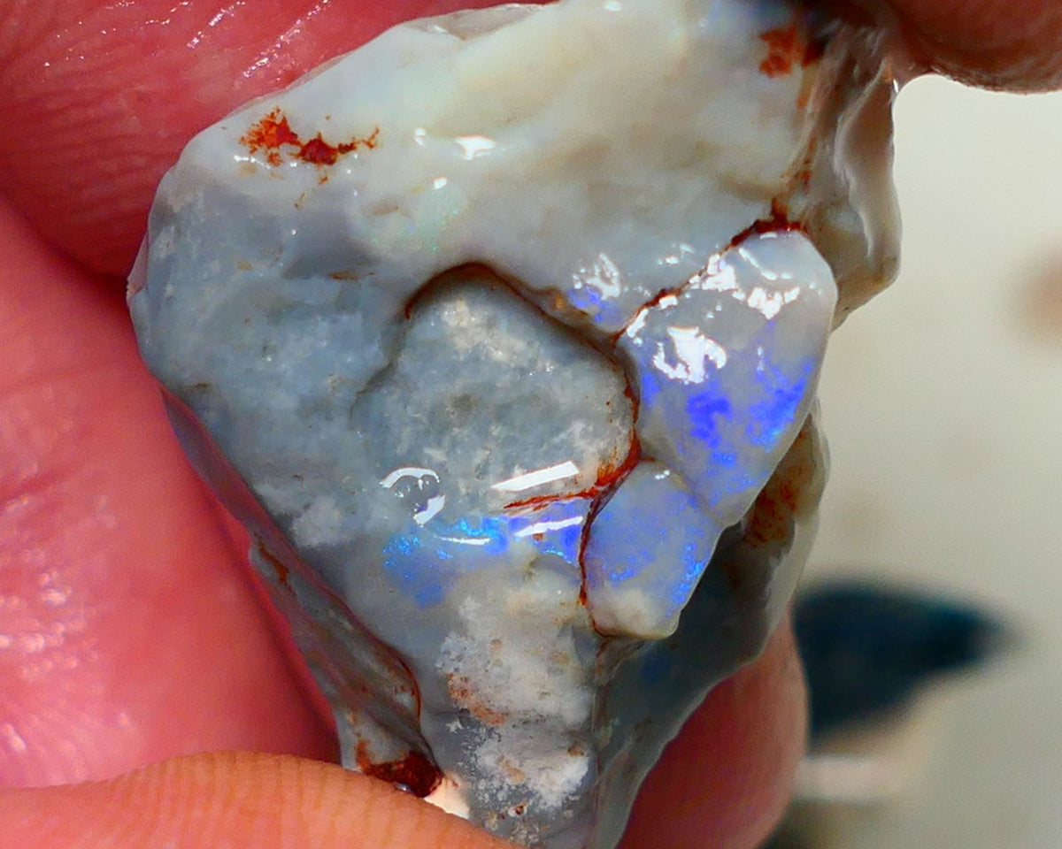 Lightning Ridge Rough Opal Gamble Auction 2  26.00cts 30x19x9mm