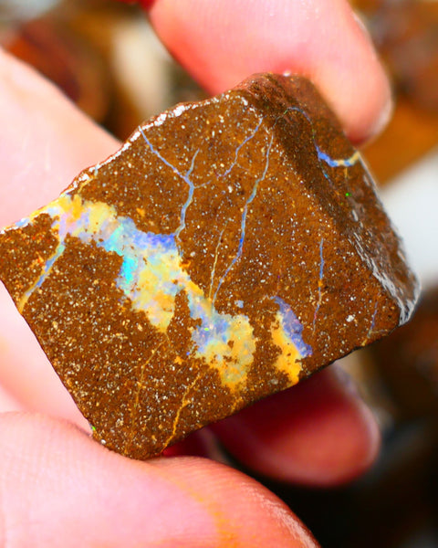 Queensland Boulder / Matrix opal 105cts rough Winton Bright Blue fires show plenty to go at here 32x25x14mm ALP002