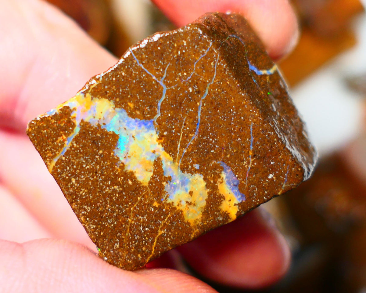 Queensland Boulder / Matrix opal 105cts rough Winton Bright Blue fires show plenty to go at here 32x25x14mm ALP002