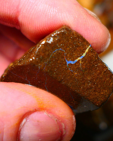 Queensland Boulder / Matrix opal 105cts rough Winton Bright Blue fires show plenty to go at here 32x25x14mm ALP002